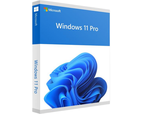 Windows 11 Professionnel