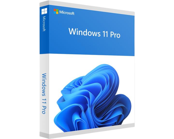 Windows 11 Professionnel